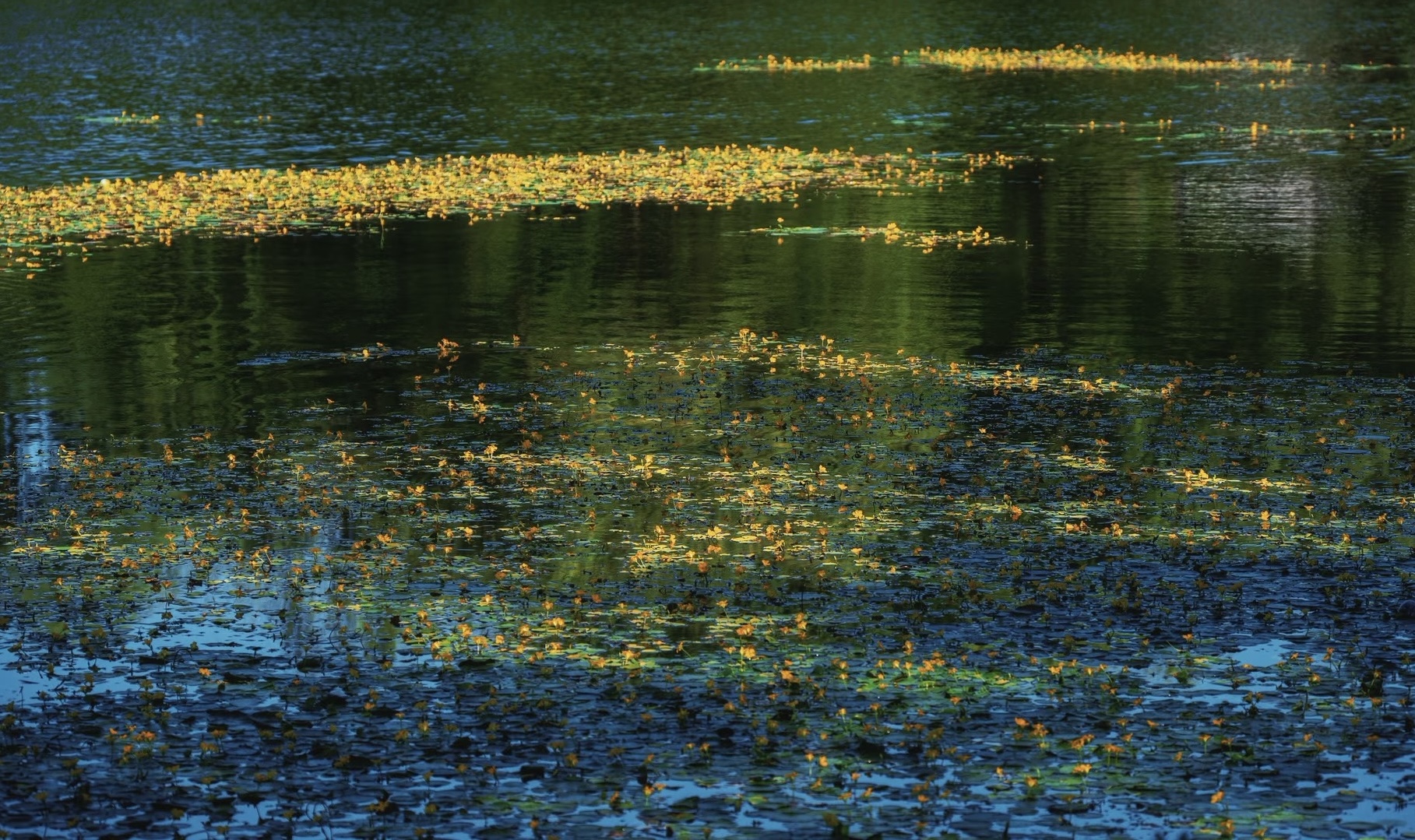 After using gnomos — automated